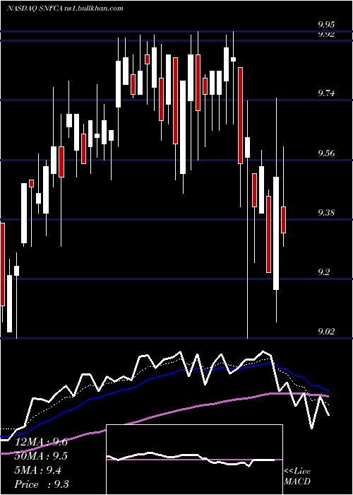  Daily chart SecurityNational