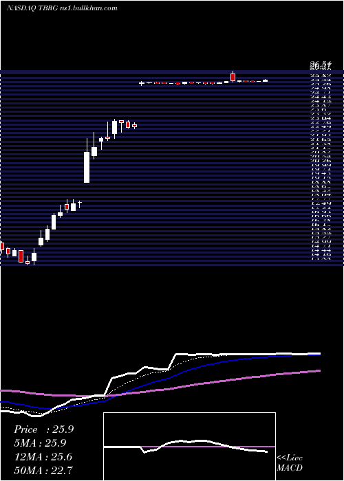  Daily chart ThunderBridge