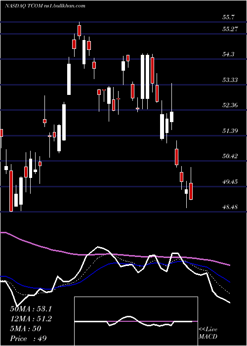  Daily chart TripCom