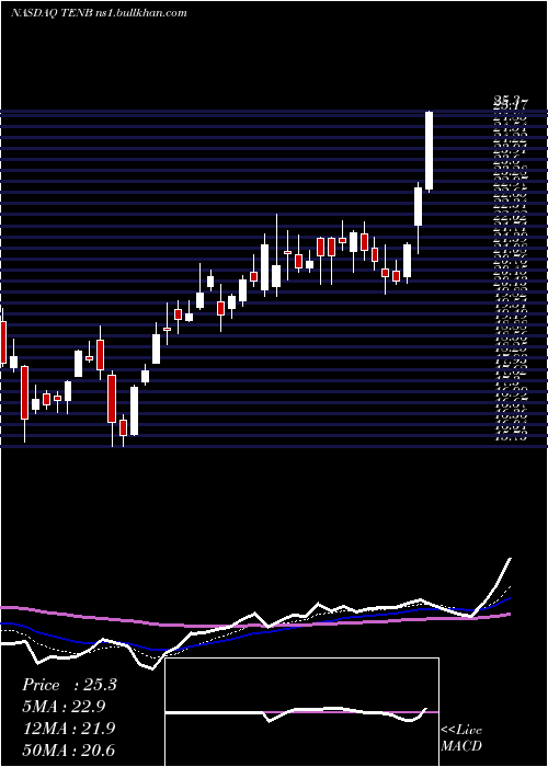  Daily chart TenableHoldings