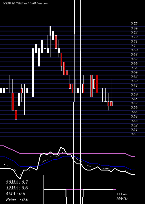  Daily chart TrinityBiotech