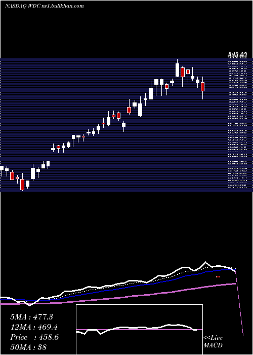  Daily chart WesternDigital