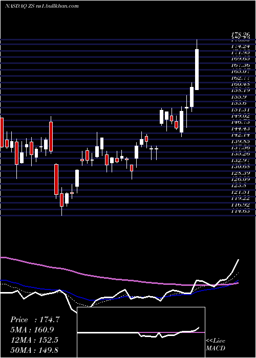  Daily chart ZscalerInc