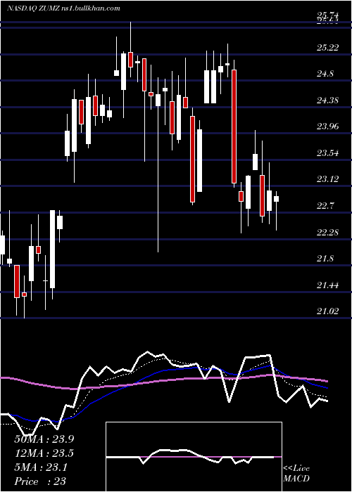  Daily chart ZumiezInc