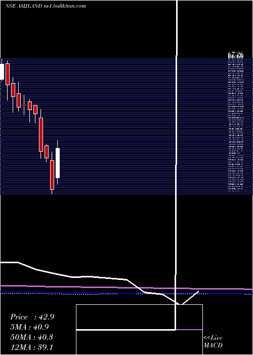  monthly chart AmjLand