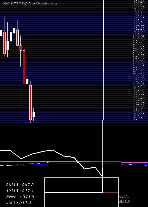  monthly chart AmrutanjanHealth