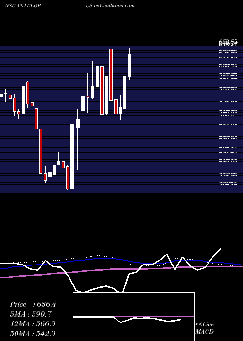  weekly chart AntelopusSelan