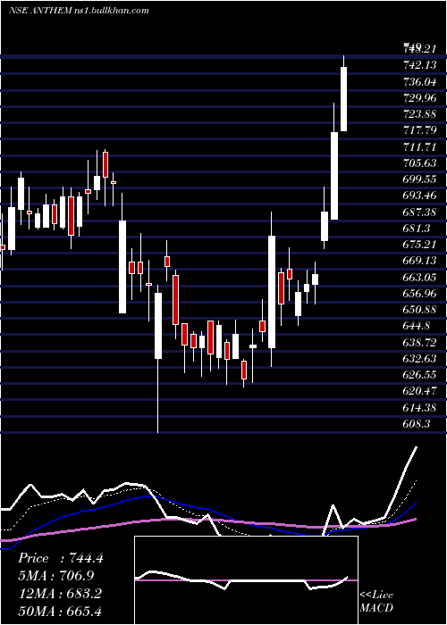  Daily chart AnthemBiosciences