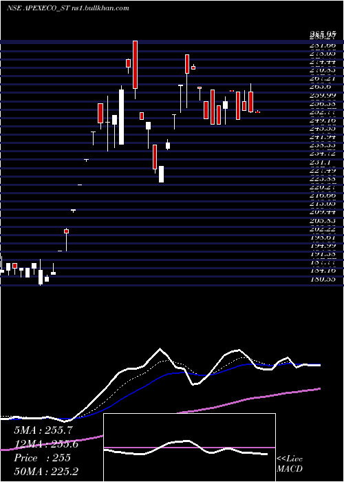  Daily chart ApexEcotech