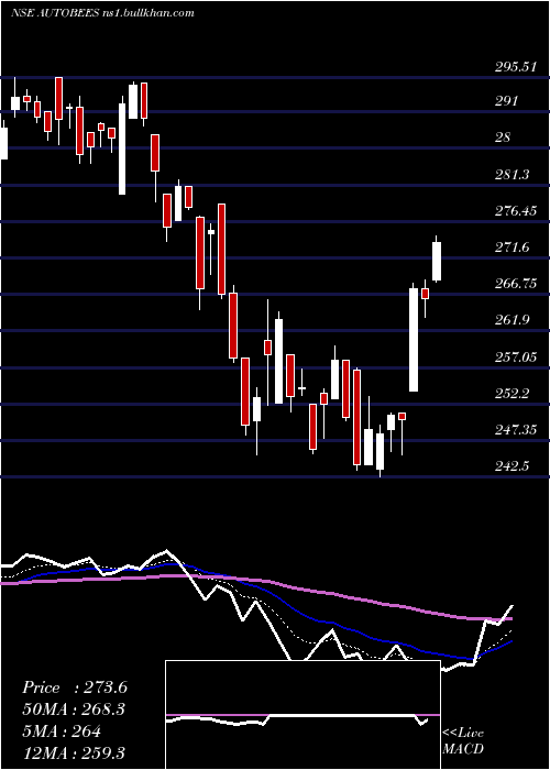  Daily chart NipponamcNetfauto