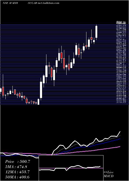  Daily chart AvadhSug