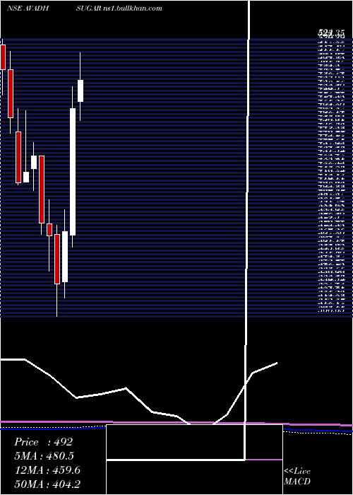  monthly chart AvadhSug
