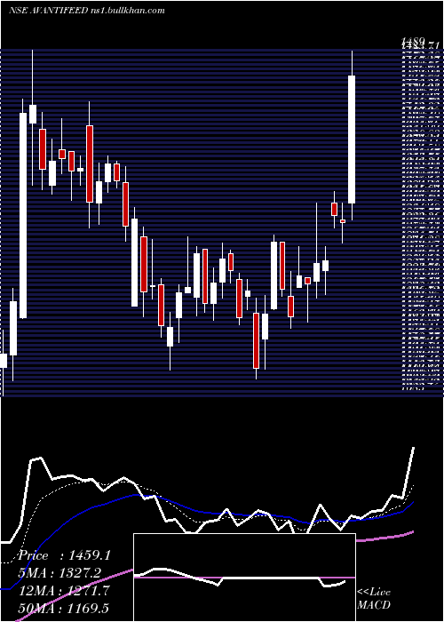  Daily chart AvantiFeeds