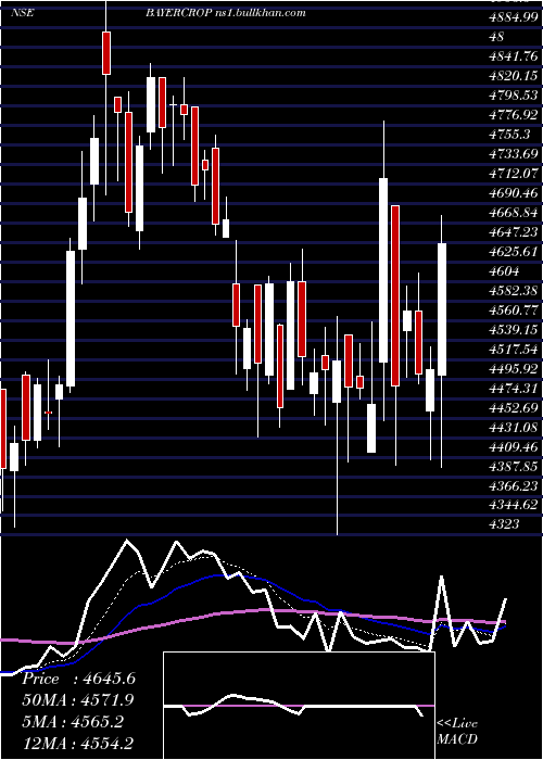  Daily chart BayerCropscience