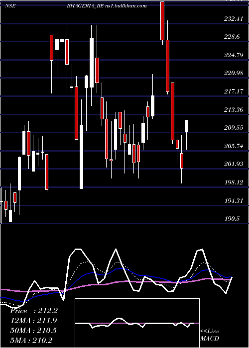  Daily chart BhageriaIndustries