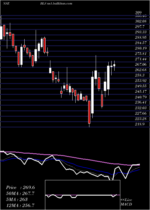  Daily chart BlsInternat