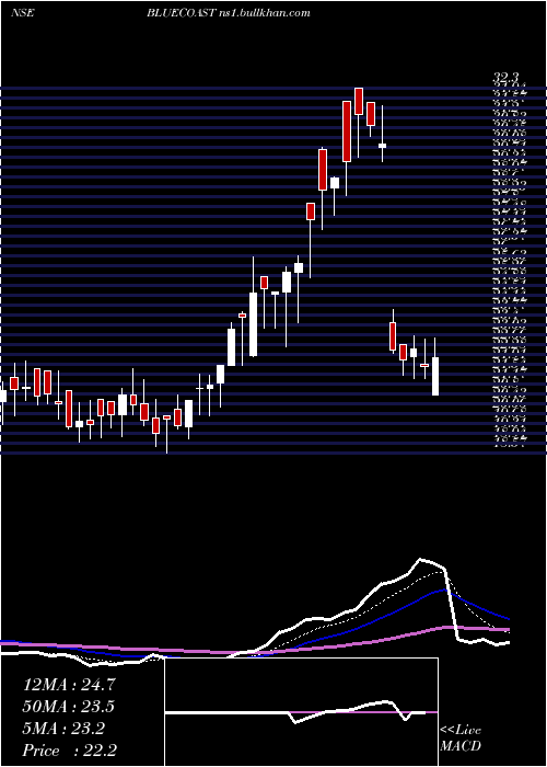  Daily chart BlueCoast