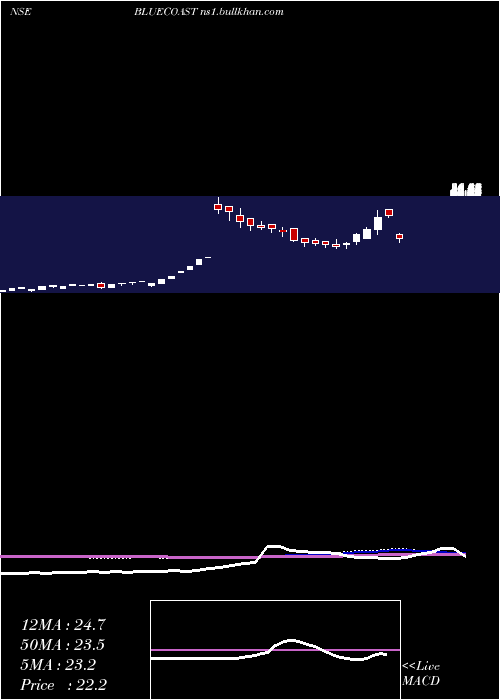  weekly chart BlueCoast