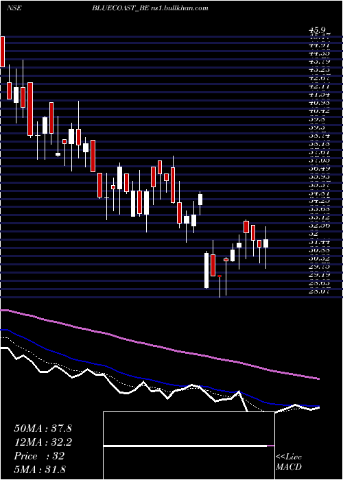  Daily chart BlueCoast