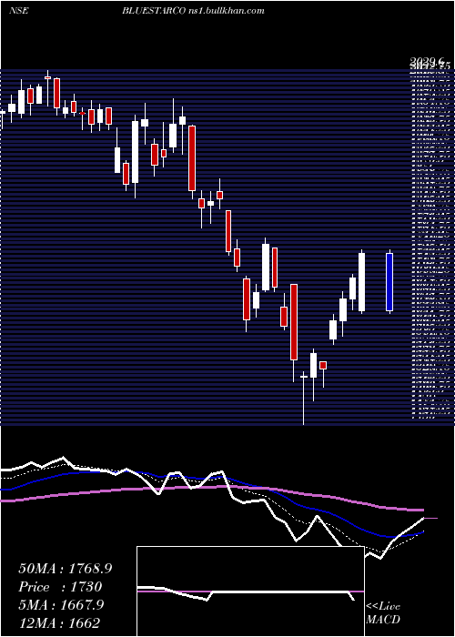  Daily chart BlueStar