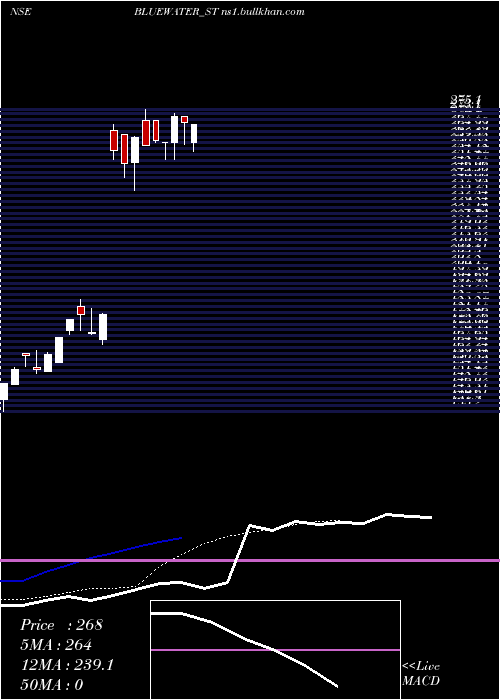  Daily chart BlueWater