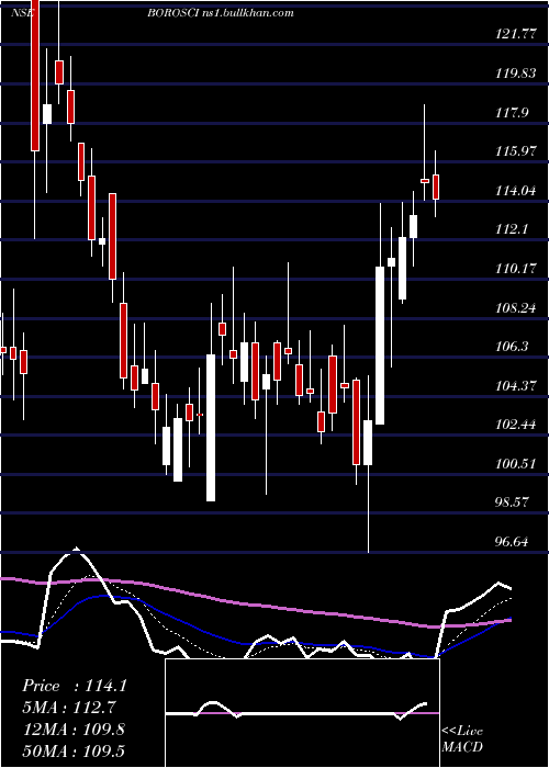  Daily chart BorosilScientific