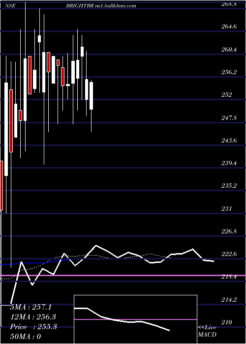  Daily chart BrightBrothers