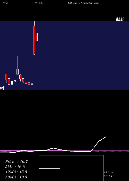  monthly chart BurnpurCement