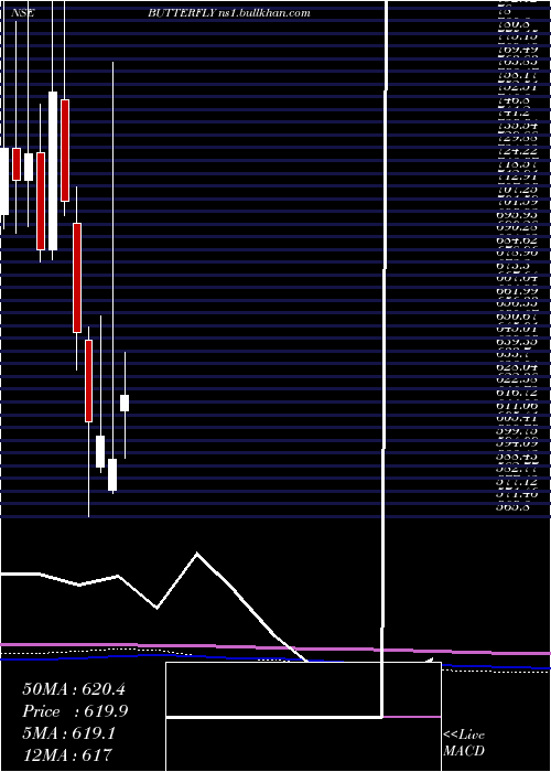  monthly chart ButterflyGandhimathi