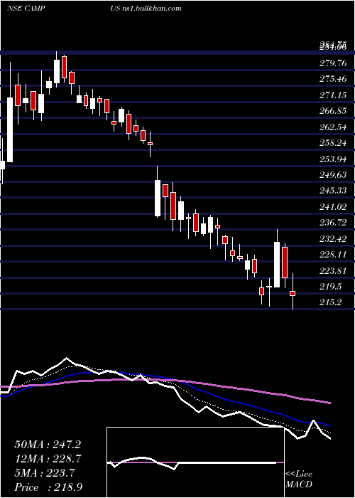  Daily chart CampusActivewear