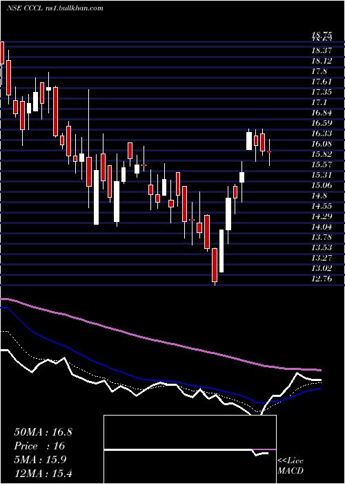  Daily chart ConsolidatedConstruction