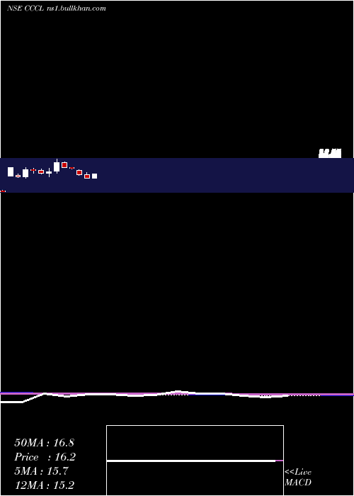  monthly chart ConsolidatedConstruction