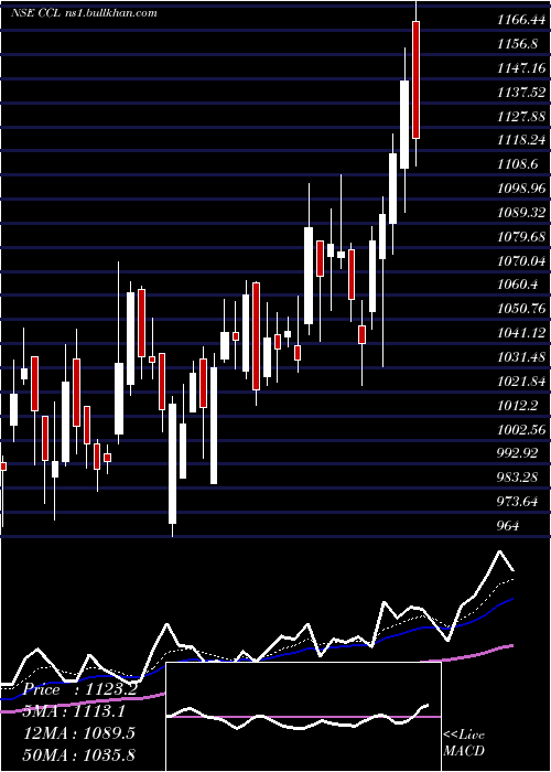  Daily chart CclProducts