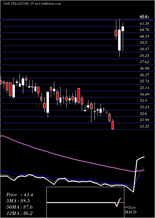  Daily chart CellecorGadgets