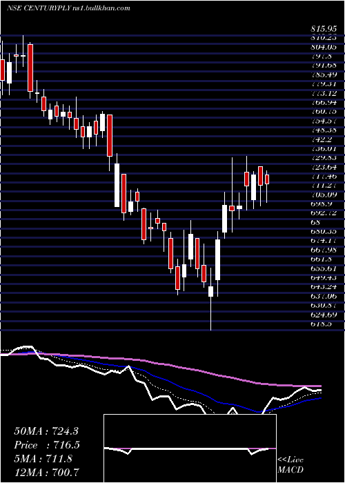  Daily chart CenturyPlyboards