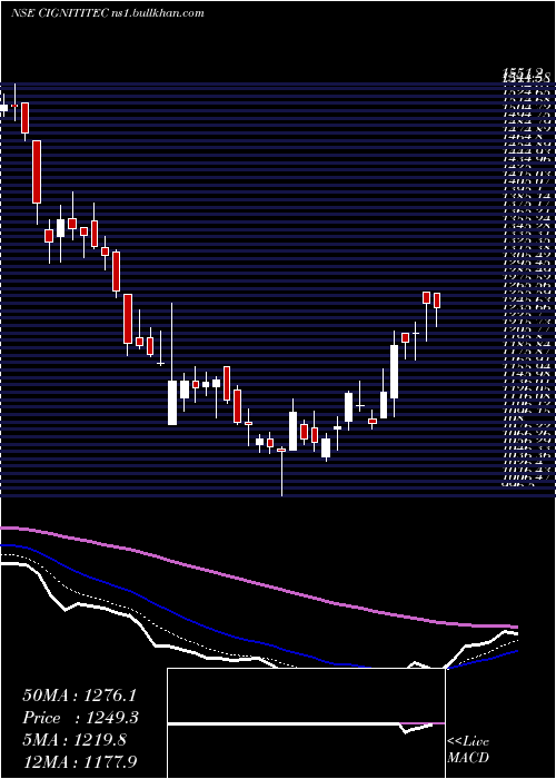  Daily chart CignitiTechnologies