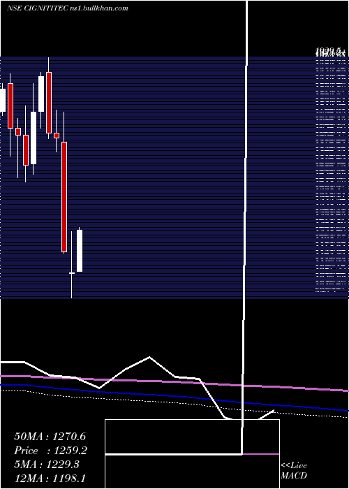  monthly chart CignitiTechnologies