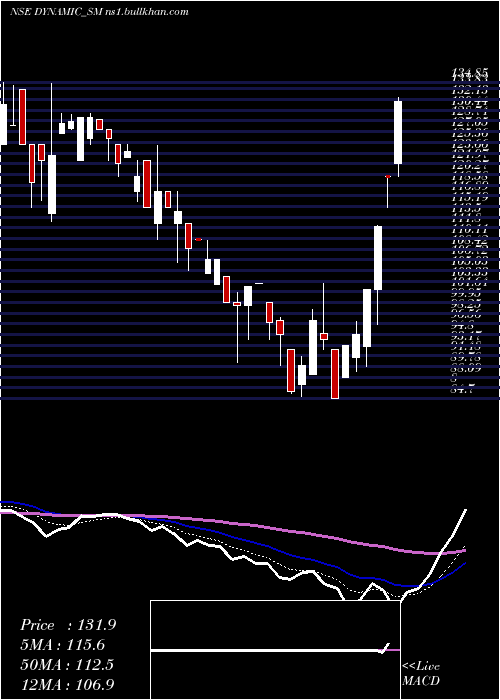  Daily chart DynamicSrvcs