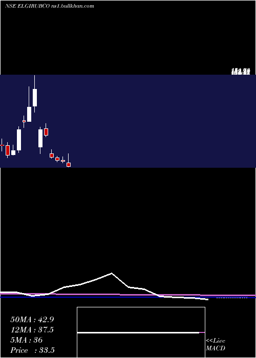 monthly chart ElgiRubber