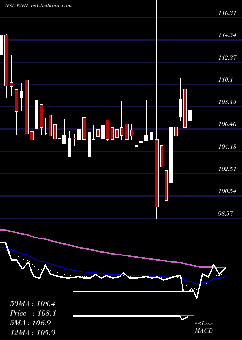 Daily chart EntertainmentNetwork