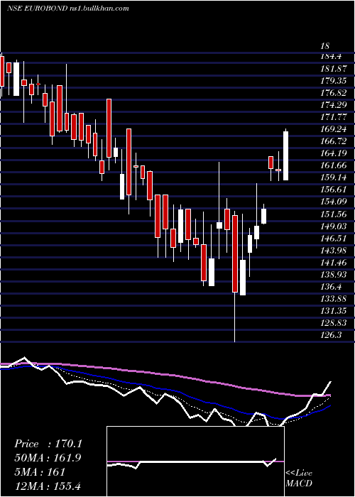  Daily chart EuroPanel