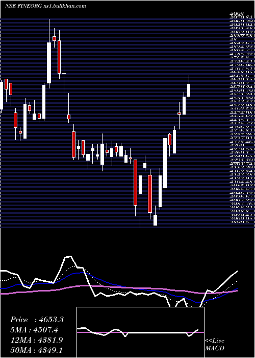  Daily chart FineOrganic