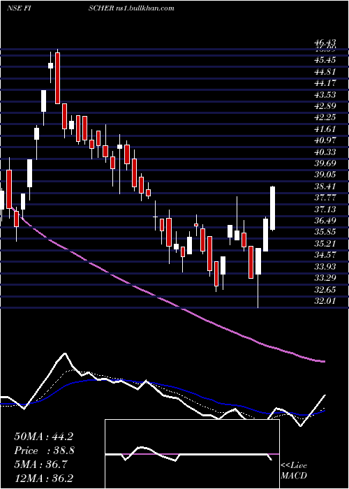  Daily chart FischerMedical
