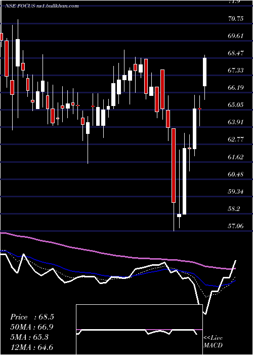  Daily chart FocusLightg
