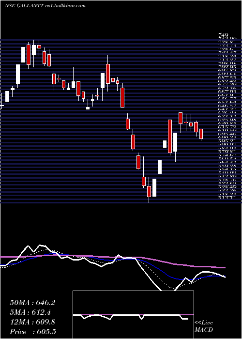  Daily chart GallanttMetal