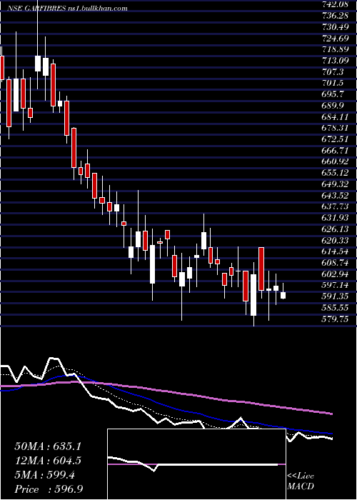  Daily chart GarwareTech
