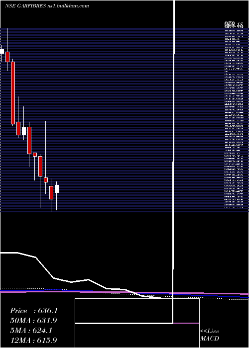  monthly chart GarwareTech