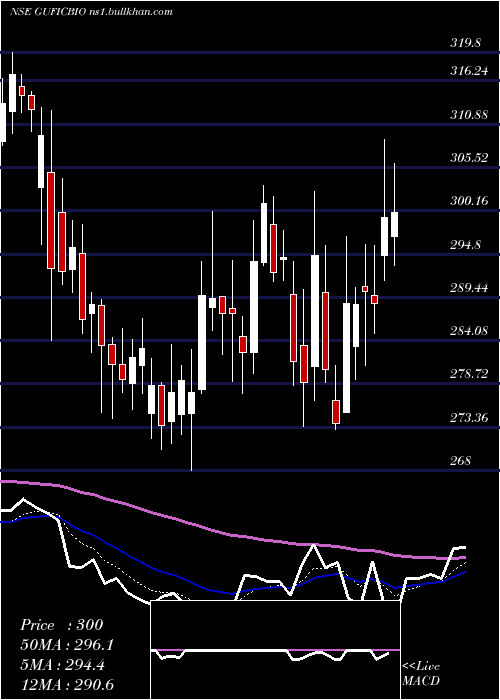  Daily chart GuficBiosciences