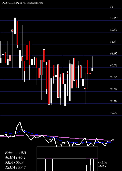  Daily chart GujRaffia