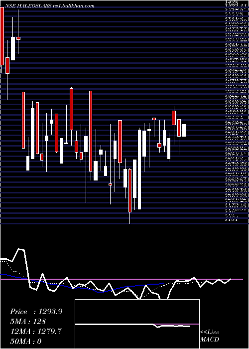  Daily chart HaleosLabs